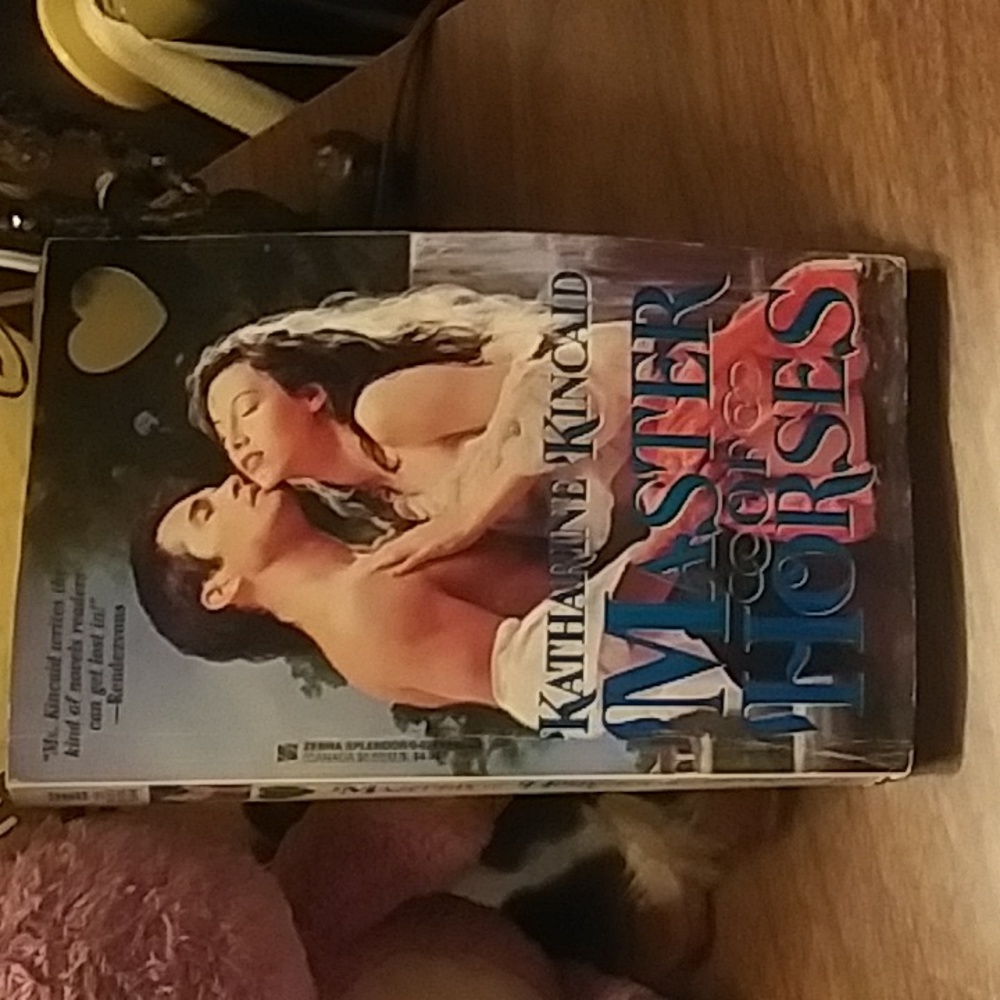 master of horses romance paperback book by Katharine Kincaid